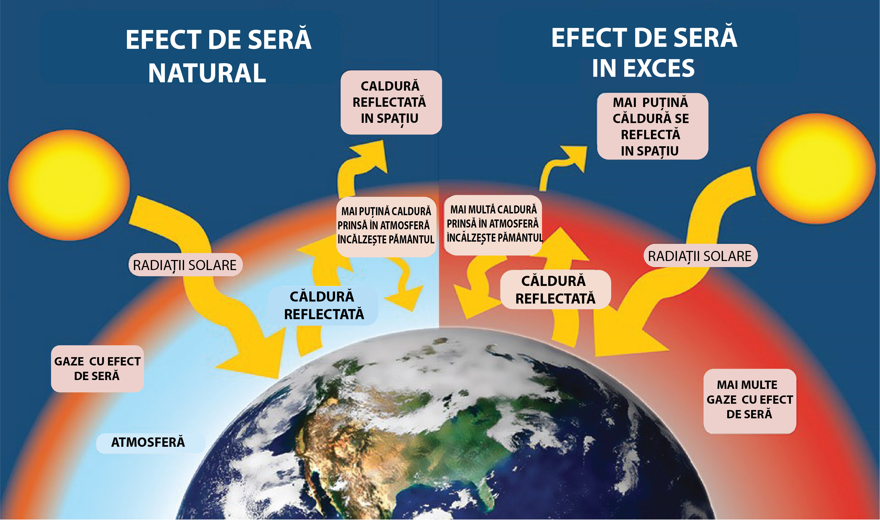 Schimbările Climatice